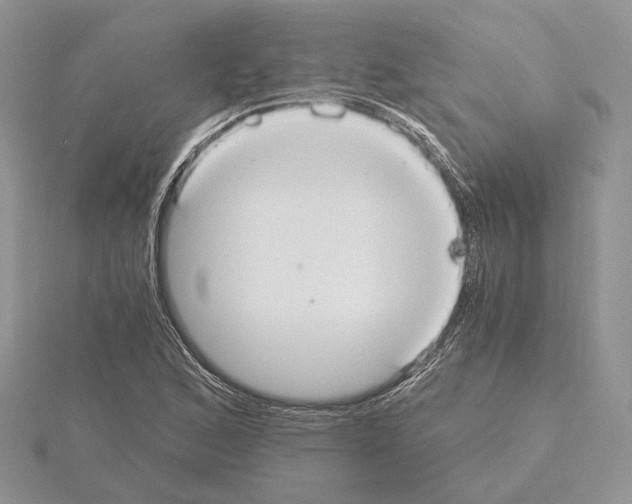 X0000115021168200912071021