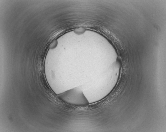 X0000115021169200912071021