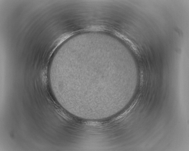 X0000115021170200912071021