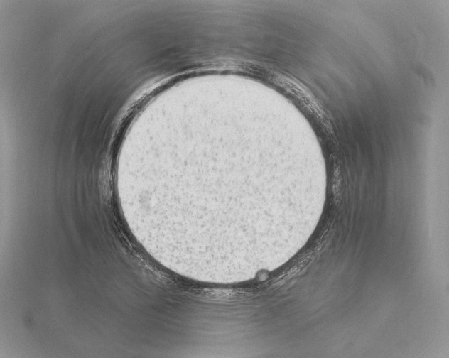 X0000115021172200912071021