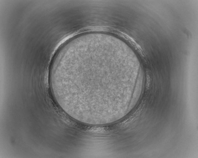 X0000115021174200912071021