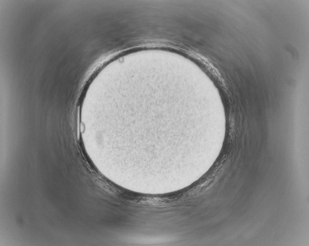 X0000115021175200912071021