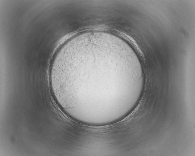 X0000115021176200912071021