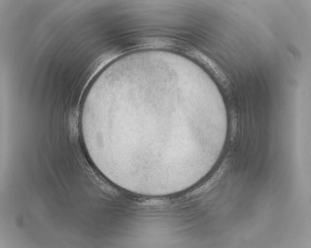 X0000115021178200912071021