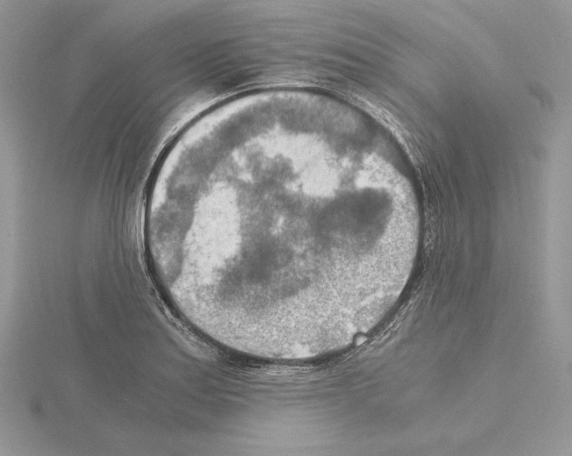 X0000115021179200912071021