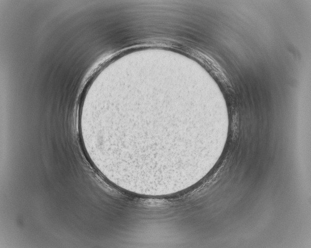 X0000115021180200912071021