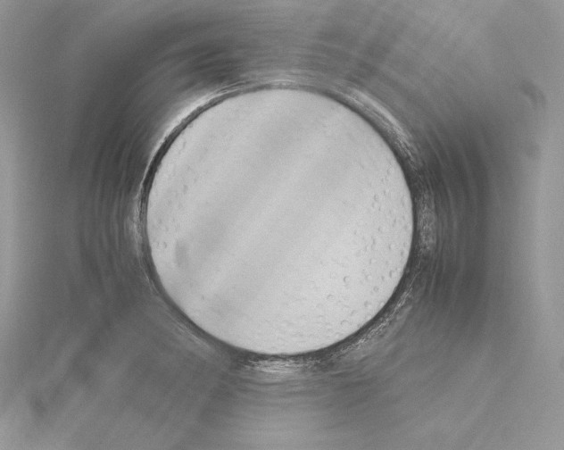 X0000115021182200912071021