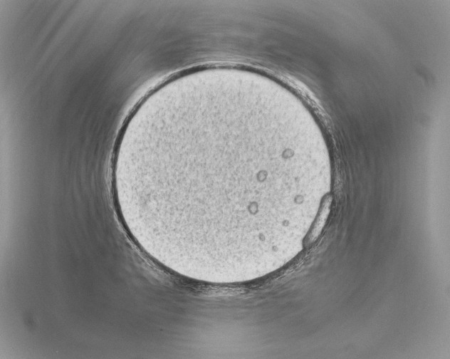 X0000115021183200912071021