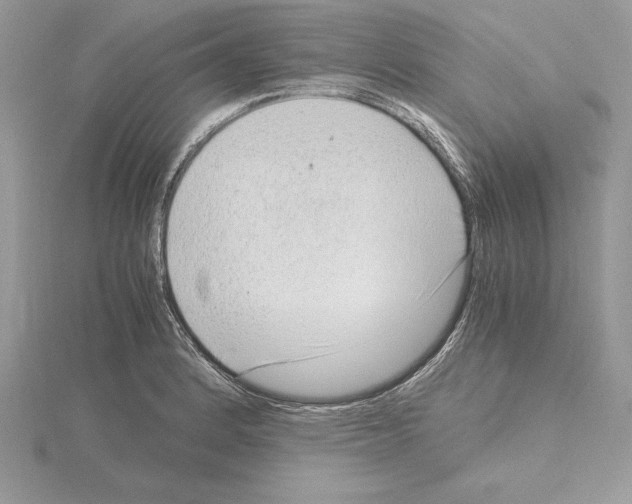 X0000115021184200912071021