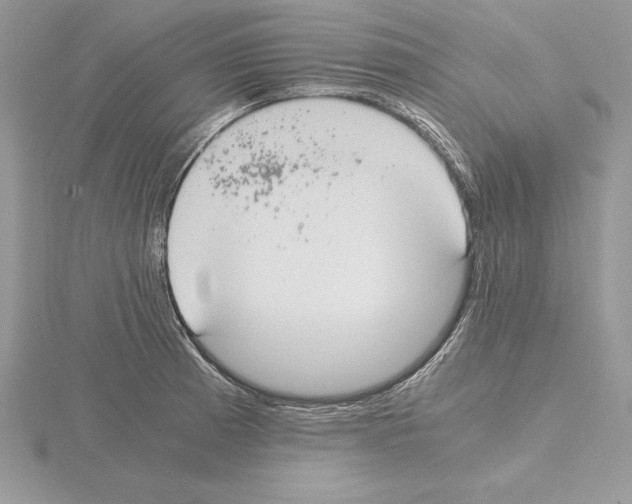 X0000115021185200912071021