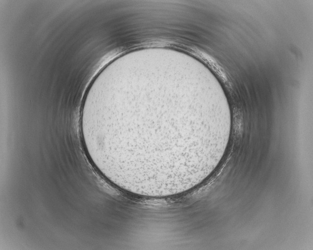 X0000115021186200912071021