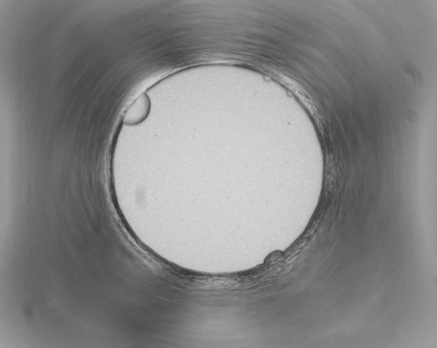 X0000115021187200912071021