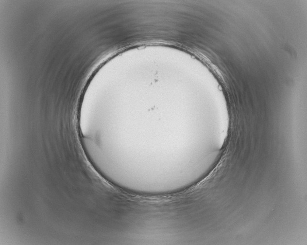 X0000115021189200912071021