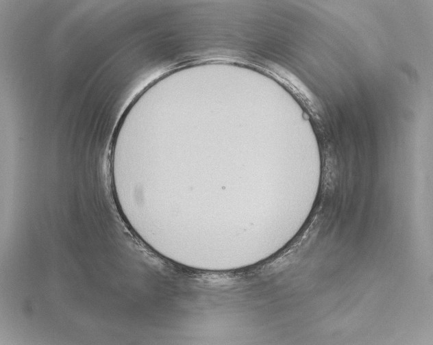 X0000115021190200912071021