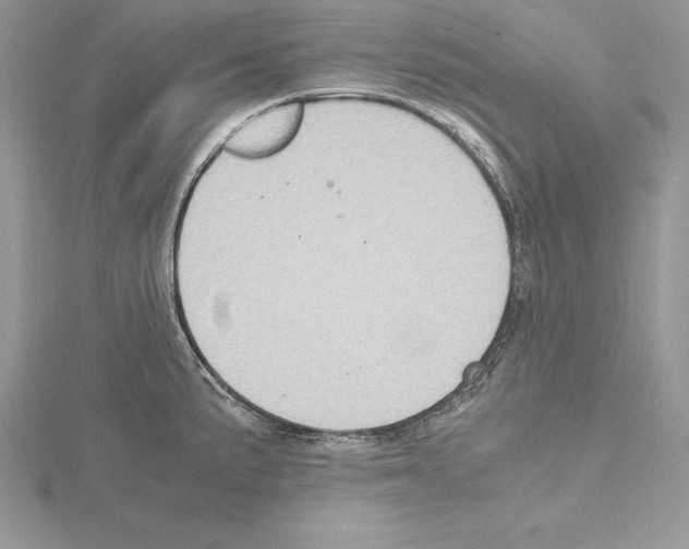 X0000115021191200912071021