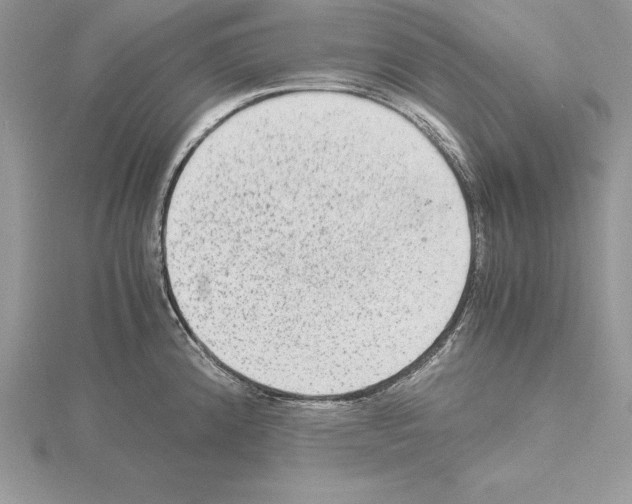 X0000115021192200912071021