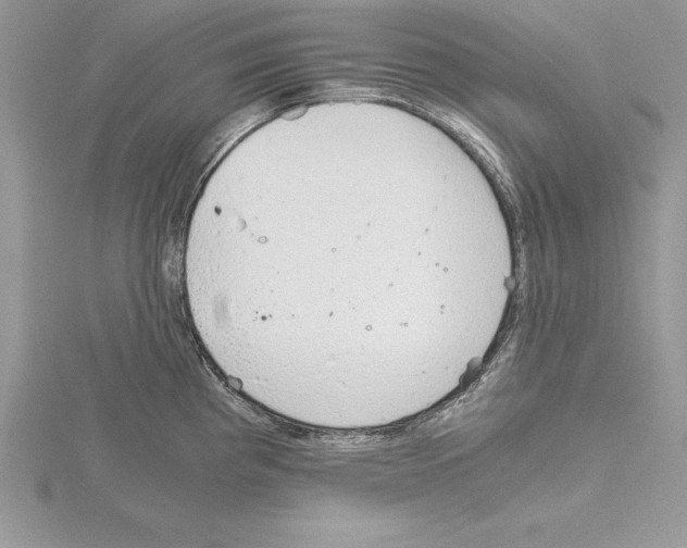 X0000115021193200912071021