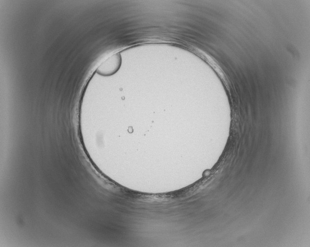 X0000115021195200912071021