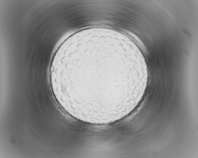 X0000115021196200912071021