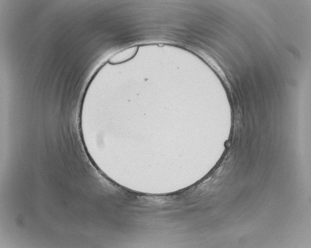 X0000115021197200912071021