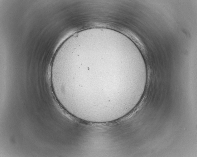 X0000115021198200912071021