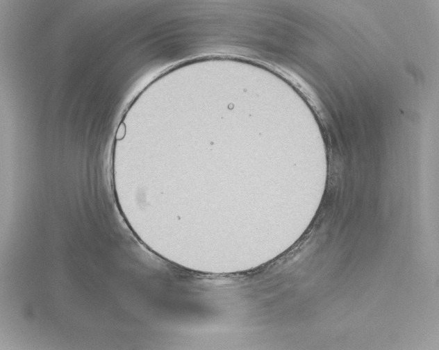 X0000115021199200912071021