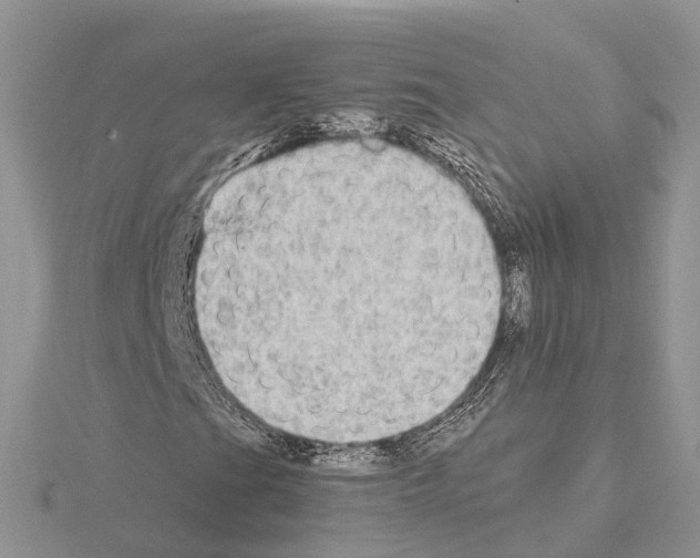 X0000115021201200912071020