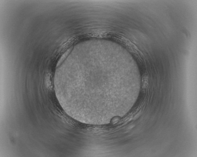 X0000115021202200912071020