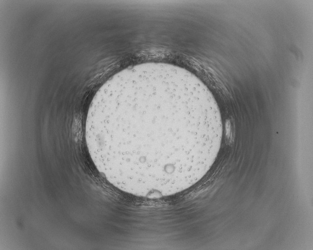 X0000115021203200912071020