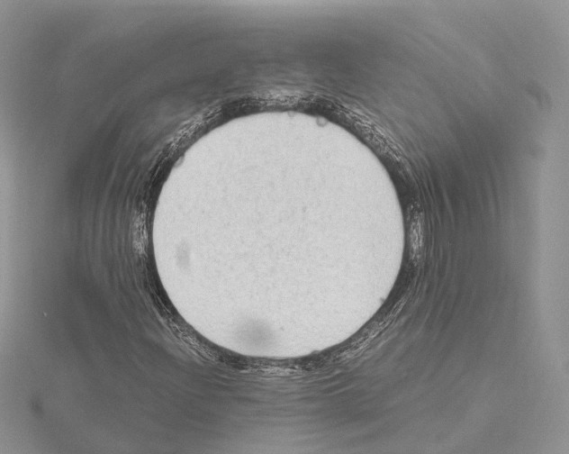 X0000115021204200912071020