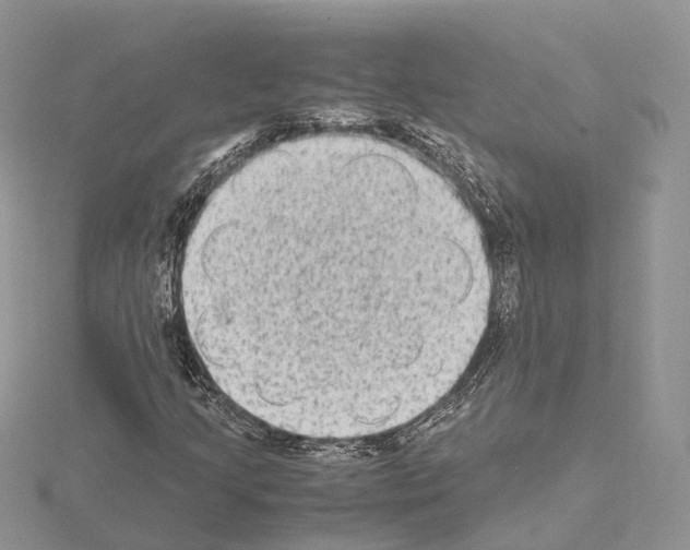 X0000115021205200912071020