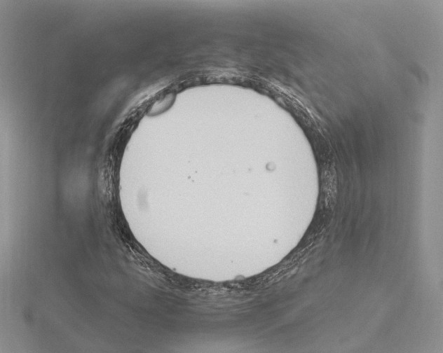 X0000115021207200912071020