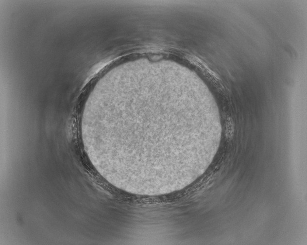 X0000115021208200912071020