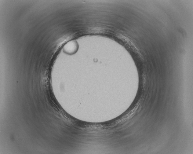 X0000115021210200912071020