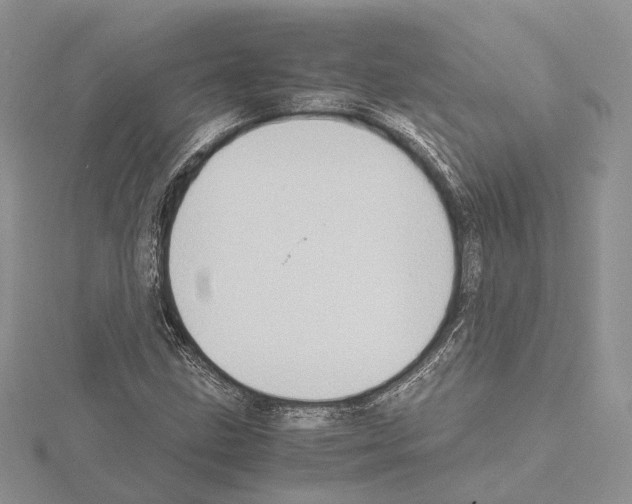 X0000115021211200912071020