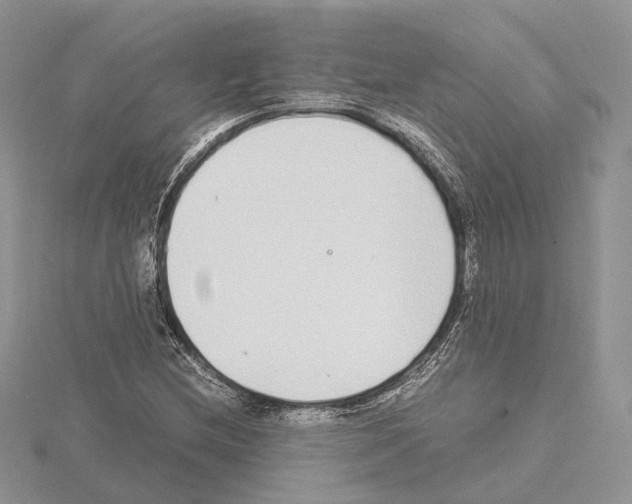 X0000115021212200912071020