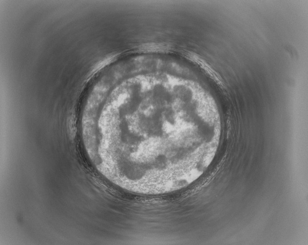 X0000115021213200912071020