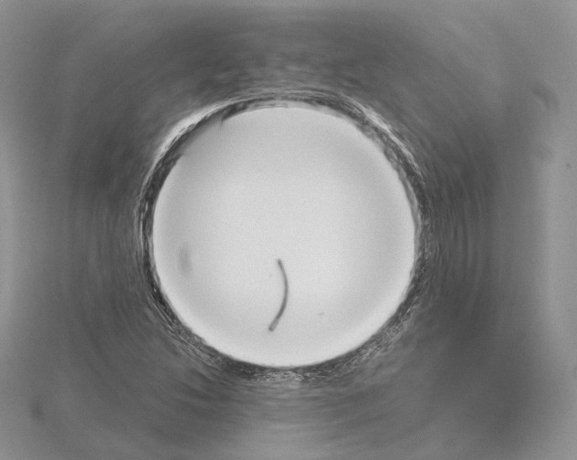 X0000115021214200912071020