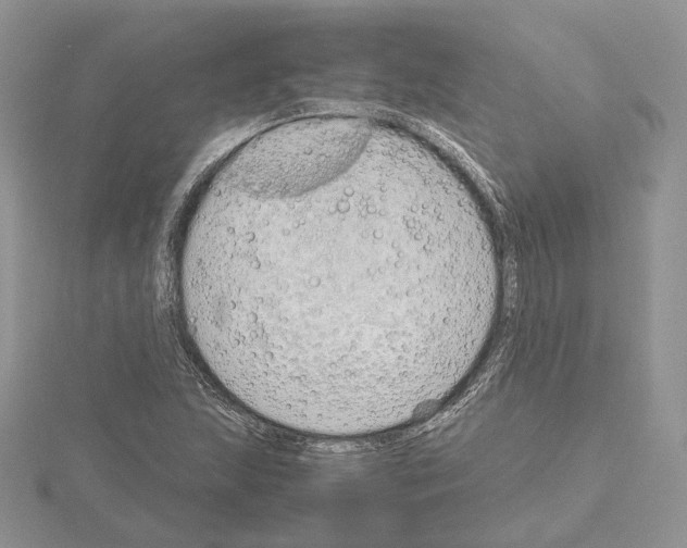 X0000115021215200912071020