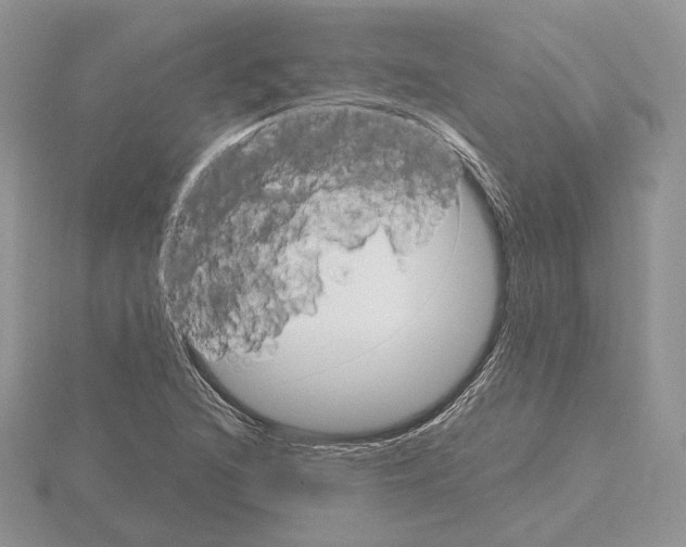 X0000115021216200912071020