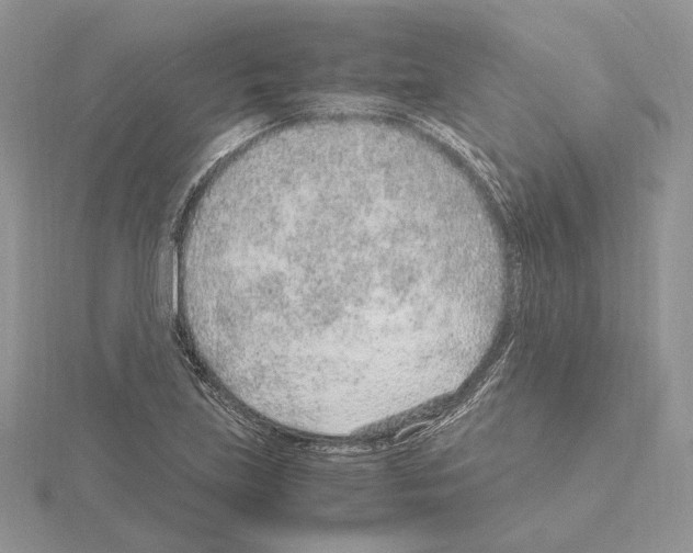 X0000115021219200912071020