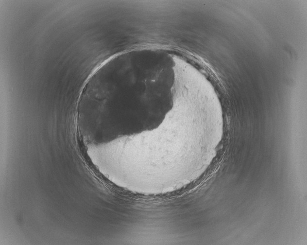 X0000115021220200912071020