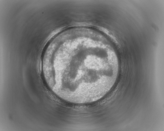 X0000115021221200912071020