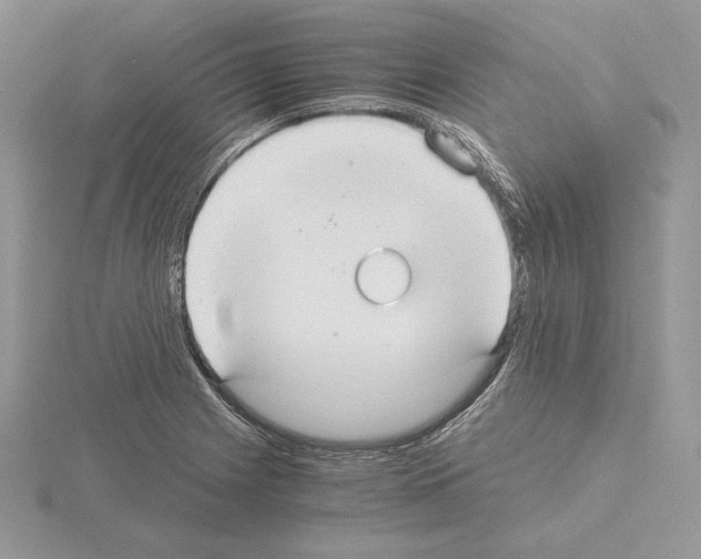 X0000115021225200912071020