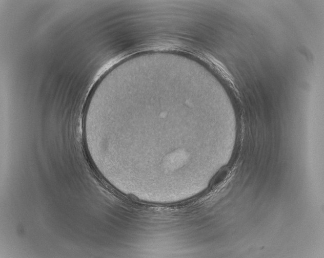 X0000115021226200912071020