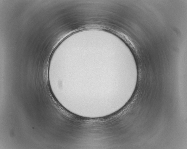 X0000115021228200912071020