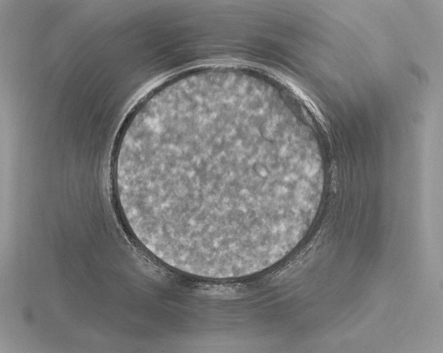 X0000115021229200912071020