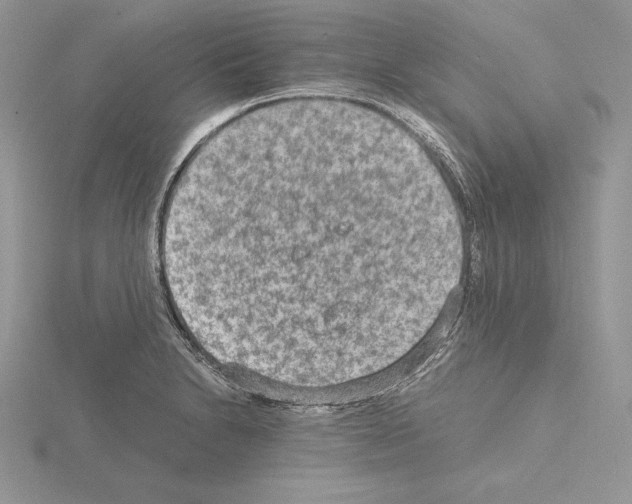 X0000115021230200912071020