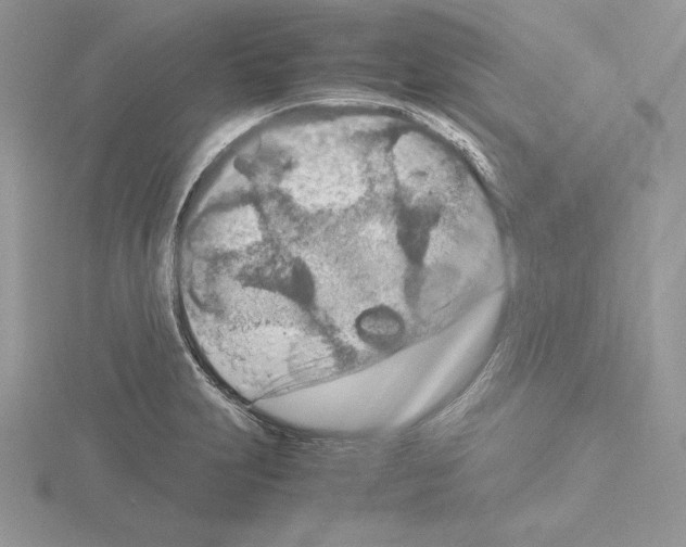 X0000115021231200912071020