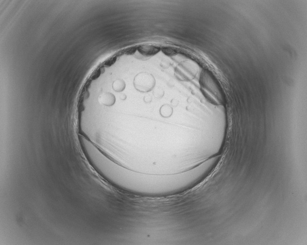 X0000115021232200912071020